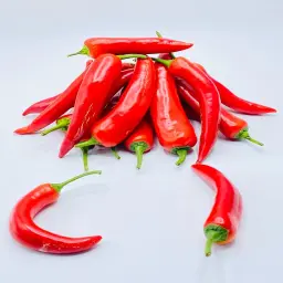 Long Red Hot Pepper